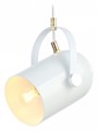 Подвесной светильник Ambrella Light TR TR8205 - фото 4891458