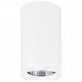 Накладной светильник Ambrella Light TN TN213133 - фото 4892532