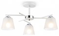 Светильник на штанге Ambrella Light TR TR303202 - фото 4892571