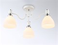 Потолочная люстра Ambrella Light TR TR303302 - фото 4892646