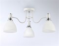 Потолочная люстра Ambrella Light TR TR303302 - фото 4892647