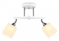 Светильник на штанге Ambrella Light TR TR303062 - фото 4893363