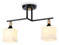 Светильник на штанге Ambrella Light TR TR9486 - фото 4893431