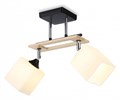 Светильник на штанге Ambrella Light TR TR9503 - фото 4893449