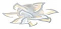 Потолочная люстра Ambrella Light FA FA4473 - фото 4893924