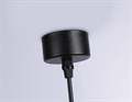 Подвесной светильник Ambrella Light TN TN71109 - фото 4894977
