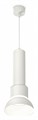 Подвесной светильник Ambrella Light XP XP8110006 - фото 4895708