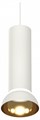 Подвесной светильник Ambrella Light XP XP8191101 - фото 4895739