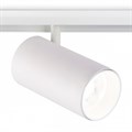 Светильник на штанге Ambrella Light GL GL3845 - фото 4896829