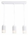 Подвесной светильник Ambrella Light TN TN51698 - фото 4897125