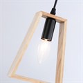 Подвесной светильник Ambrella Light TR TR80497 - фото 4898127