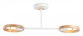 Светильник на штанге Ambrella Light TR TR8243 - фото 4898163
