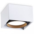Накладной светильник Ambrella Light TN TN70865 - фото 4898870
