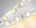 Лента светодиодная Ambrella Light GS GS2101 - фото 4899213