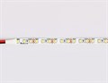 Лента светодиодная Ambrella Light GS GS1101 - фото 4899458