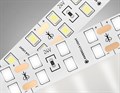 Лента светодиодная Ambrella Light GS GS3602 - фото 4899488
