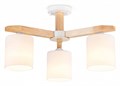 Люстра на штанге Ambrella Light TR TR83112 - фото 4900662