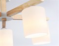 Люстра на штанге Ambrella Light TR TR83113 - фото 4900675