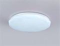 Накладной светильник Ambrella Light FZ FZ417 - фото 4902449