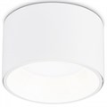 Накладной светильник Ambrella Light TN TN52892 - фото 4904040