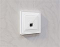 Накладка для розетки RJ-11 или RJ-45 Ambrella Volt Quant AP1120 - фото 4904817 Накладка для розетки RJ-11 или RJ-45 Ambrella Volt Quant AP1120 - фото 4904817