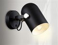 Бра Ambrella Light TR TR8204 - фото 4907338
