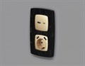 Накладка для розетки type A и C Ambrella Volt Quant OP6110 - фото 4910641 Накладка для розетки type A и C Ambrella Volt Quant OP6110 - фото 4910641