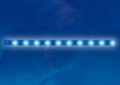 Лента светодиодная Uniel ULS-N21-2835-120LED UL-00002926 - фото 4912296