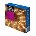 Шнур световой Uniel  UL-00008572 - фото 4914379