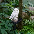 Птица световая Uniel POLAR OWL UL-00011596 - фото 4916200
