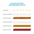 Лента светодиодная Apeyron Electrics Стандарт (в блистере) smd 3528 03BL - фото 4926618 Лента светодиодная Apeyron Electrics Стандарт (в блистере) smd 3528 03BL - фото 4926618