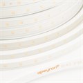 Лента светодиодная Apeyron Electrics Стандарт SMD 2835 10-63 - фото 4926705 Лента светодиодная Apeyron Electrics Стандарт SMD 2835 10-63 - фото 4926705