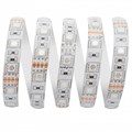 Комплект с лентой светодиодной Apeyron Electrics  10-35 - фото 4926839 Комплект с лентой светодиодной Apeyron Electrics  10-35 - фото 4926839