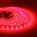 Лента светодиодная Apeyron Electrics Стандарт (в блистере) smd 5050 48BL - фото 4926981