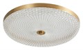 Накладной светильник Arti Lampadari Viro Viro L 1.13.45x8 G - фото 4931418