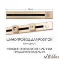 Трек накладной Arte Milano Am-track-sockets 385205TOB/50 Gold - фото 4933413