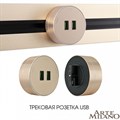 Розетка 2xUSB на треке Arte Milano Am-track-sockets 380011TS/USBx2 Gold - фото 4933631 Розетка 2xUSB на треке Arte Milano Am-track-sockets 380011TS/USBx2 Gold - фото 4933631