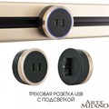 Розетка 2xUSB на треке Arte Milano Am-track-sockets 380066TS LED/USBx2 Gold - фото 4933691 Розетка 2xUSB на треке Arte Milano Am-track-sockets 380066TS LED/USBx2 Gold - фото 4933691
