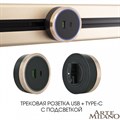 Розетка USB и type C на треке Arte Milano Am-track-sockets 380066TS LED/USB-Type-C Gold - фото 4933721