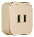 Розетка 2xUSB на треке Arte Milano Am-track-sockets 380022TS/USBx2 Gold - фото 4933777