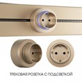 Розетка с заземлением на треке Arte Milano Am-track-sockets-39 397951TS/ES Gold - фото 4933913 Розетка с заземлением на треке Arte Milano Am-track-sockets-39 397951TS/ES Gold - фото 4933913