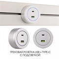 Розетка USB и type C на треке Arte Milano Am-track-sockets-39 399731TS/USB-Type-C Silver - фото 4933960
