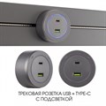 Розетка USB и type C на треке Arte Milano Am-track-sockets-39 399731TS/USB-Type-C Grey - фото 4933969