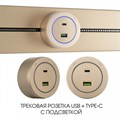 Розетка USB и type C на треке Arte Milano Am-track-sockets-39 399731TS/USB-Type-C Gold - фото 4933975