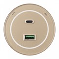 Розетка USB и type C на треке Arte Milano Am-track-sockets-39 399732TS/USB-Type-C Gold - фото 4933991