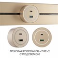 Розетка USB и type C на треке Arte Milano Am-track-sockets-39 399732TS/USB-Type-C Gold - фото 4933993