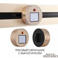 Накладной светильник Arte Milano Am-track-sockets 380011TL/Light Gold - фото 4934001