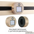 Накладной светильник Arte Milano Am-track-sockets 380011TLS/LWS Gold - фото 4934031