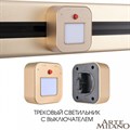 Накладной светильник Arte Milano Am-track-sockets 380022TL/Light Gold - фото 4934061