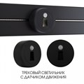 Накладной светильник Arte Milano Am-track-sockets-39 397953TLS/LWS Black - фото 4934121